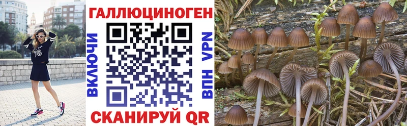 Купить где  Котельники  Галлюциногенные грибы Magic Shrooms 